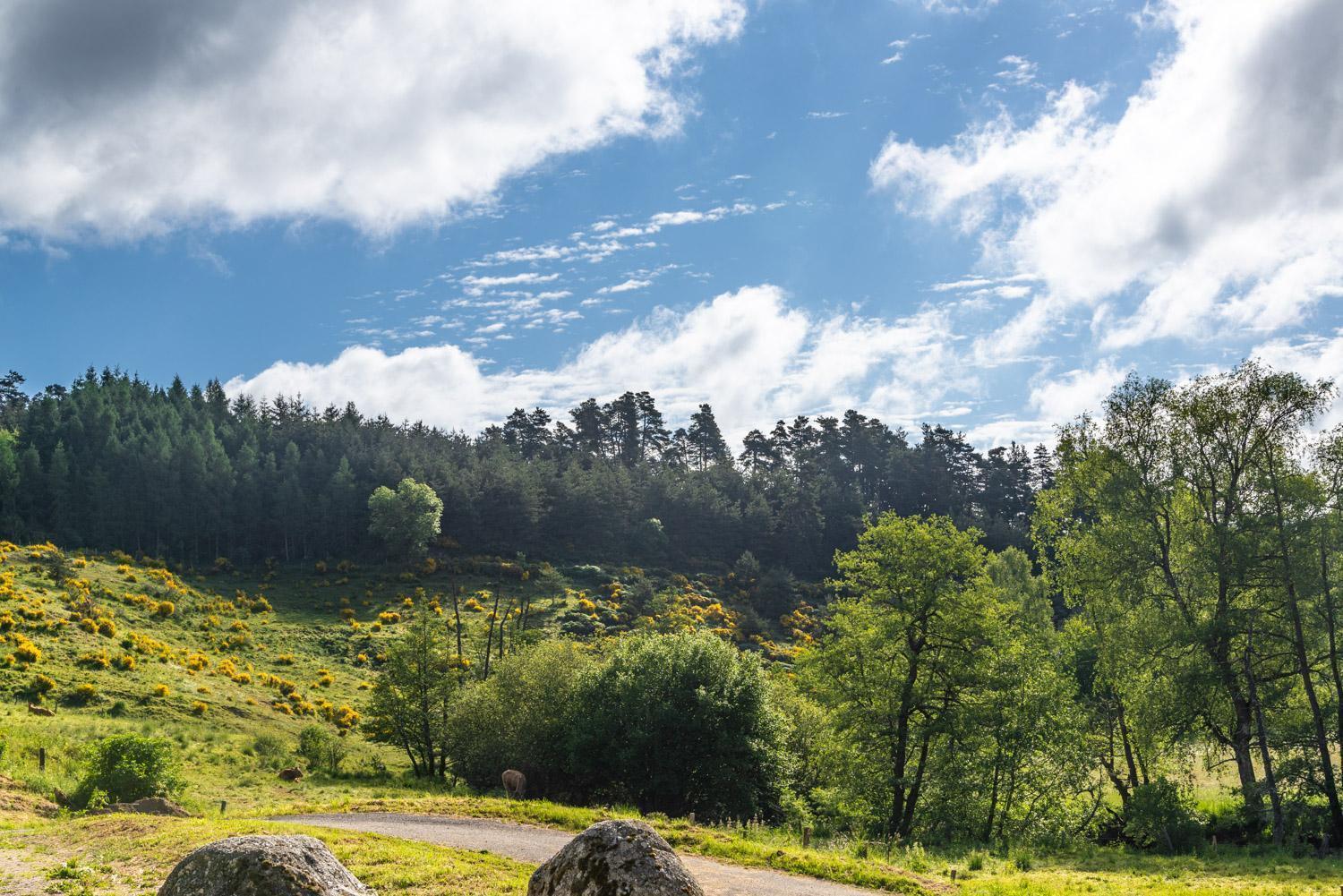 Gite De La Grange - Domaine De Coulagnettes Serverette Kültér fotó